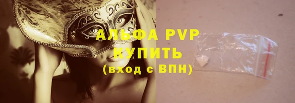 шишки Аркадак