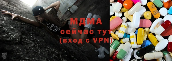 шишки Аркадак