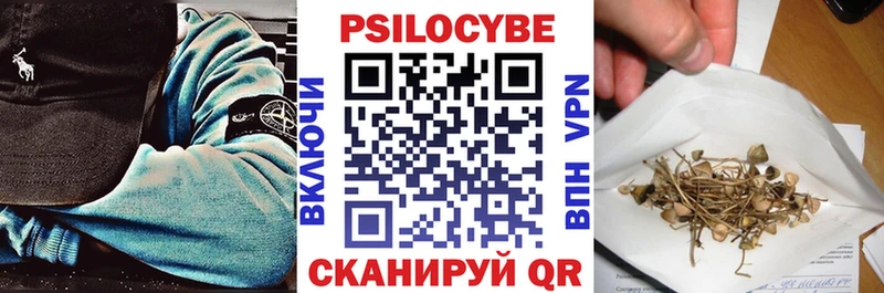 сколько стоит Фокино Псилоцибиновые грибы GOLDEN TEACHER